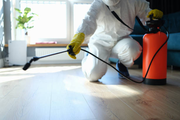 Trusted Trauma Scene Cleanup service in Keene, CA - Four Month Blood Cleanse